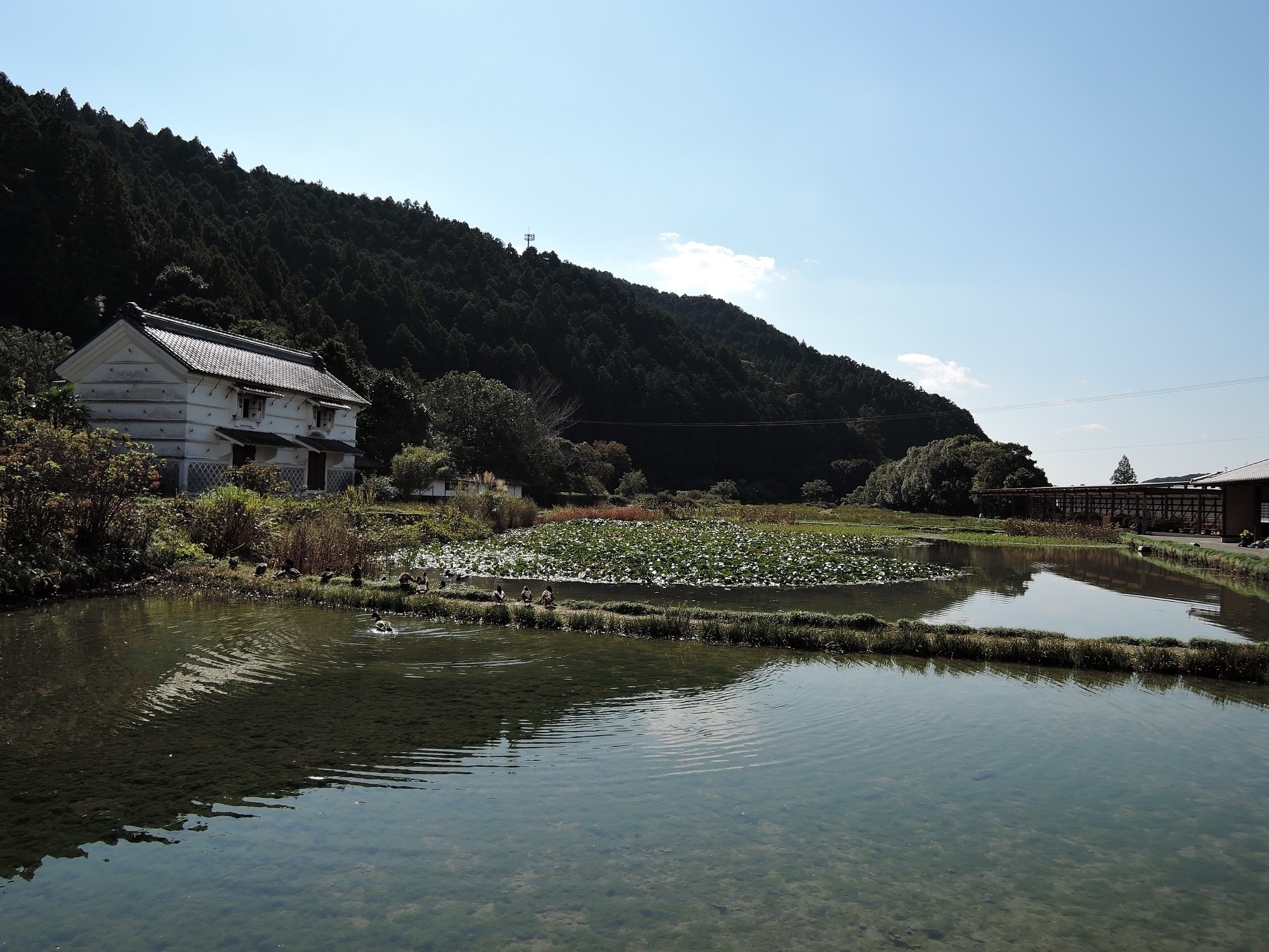 氷菓の聖地巡礼 掛川市の加茂荘花鳥園 小刀 通勤快速